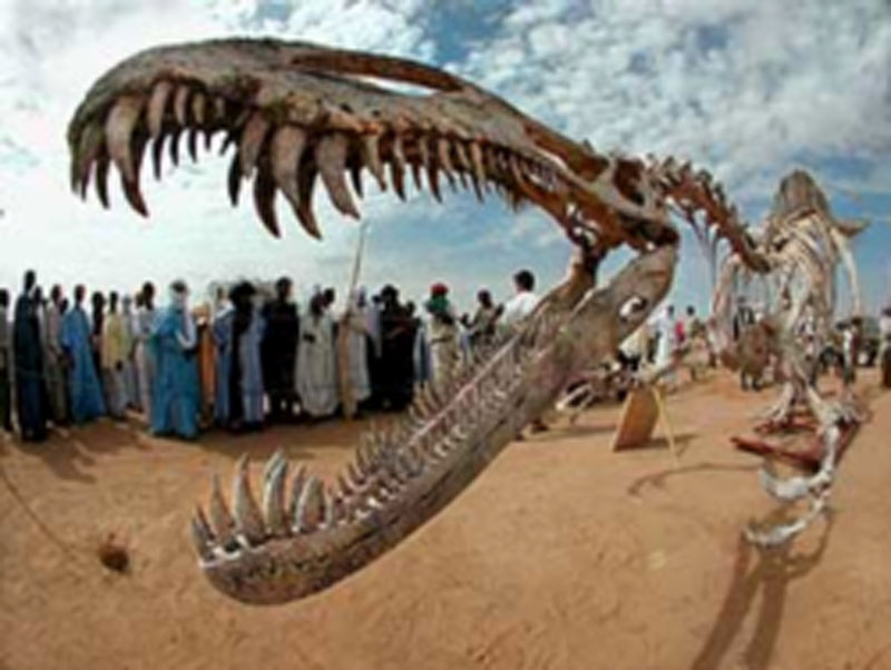 What Dinosaur Has 500 Teeth?