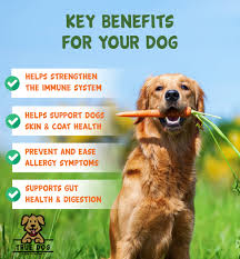 spirulina benefits for dogs