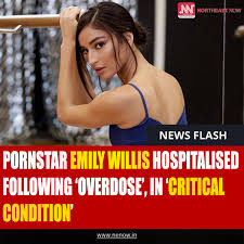 emily willis news