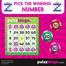 pulsz bingo