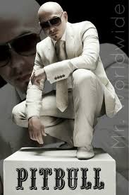 mr worldwide